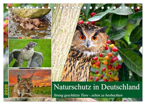 Naturschutz in Deutschland (Tischkalender 2026 DIN A5 quer), CALVENDO Monatskalender: Streng geschütze Tiere - nur noch selten zu beobachten (CALVENDO Tiere)