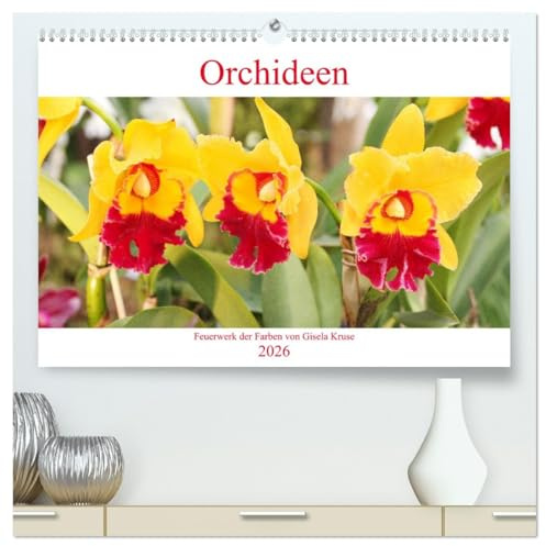 Orchideen Feuerwerk der Farben (hochwertiger Premium Wandkalender 2026 DIN A2 quer), Kunstdruck in Hochglanz: Faszinierende Blumen mit immenser Vielfalt (CALVENDO Natur)