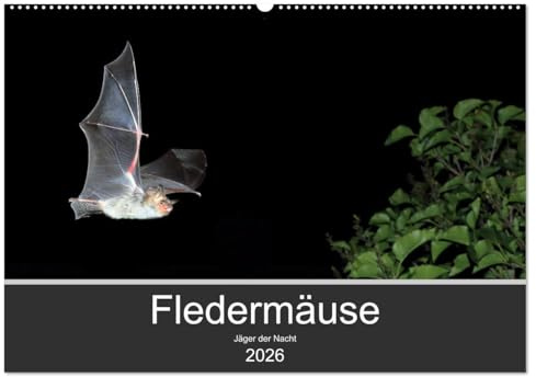 Fledermäuse - Jäger der Nacht (Wandkalender 2026 DIN A2 quer), CALVENDO Monatskalender: Fotos unserer europäische Fledermäusen aus allen Jahreszeiten. (CALVENDO Tiere)