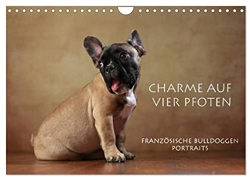 Charme auf vier Pfoten - Französische Bulldoggen Portraits (Wandkalender 2026 DIN A4 quer), CALVENDO Monatskalender: Portraits Französischer Bulldoggen (CALVENDO Tiere)