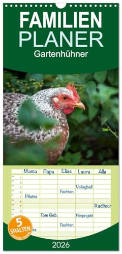Familienplaner 2026 - Gartenhühner mit 5 Spalten (Wandkalender, 21 cm x 45 cm), CALVENDO: Portraits von glücklichen Hühnern (CALVENDO Tiere)