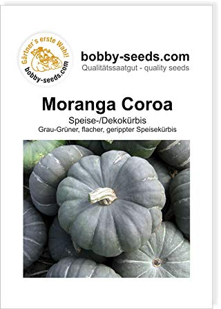 Moranga Coroa Kürbissamen von Bobby-Seeds Portion