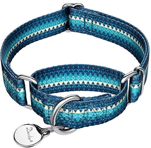Dazzber Martingal Halsbänder für Hunde, Einstellbar-Heavy Duty- Weiche-Glatte-Leichtes Gehen Sie den Hund für Große/Klein Hunde (Mittlere, 2.5cm Breit, Türkis)