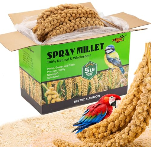 RANZ 5LB Spray Millet for Birds, Natural Sun-Dried Treat for Parakeets & Parrots