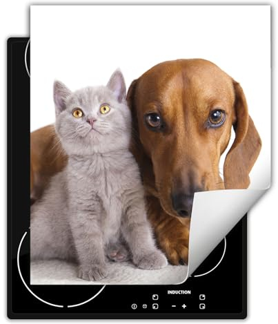 DarHaus Herdabdeckplatte Einteilig Ceranfeld Abdeckplatte Induktionsschutz Küche Deko Vinyl Matte Aufrollbar 45x52 cm, Katze und Hund