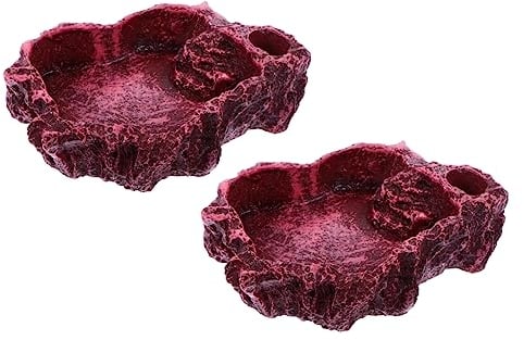 Yardwe 2stücke Reptilien-futterschale Eidechschschale Geckoschale Schildkrötenschale Natursteinform Nahrungsschale Wasserschale Terrarium Deko Schüssel Für Reptilien Fütterung