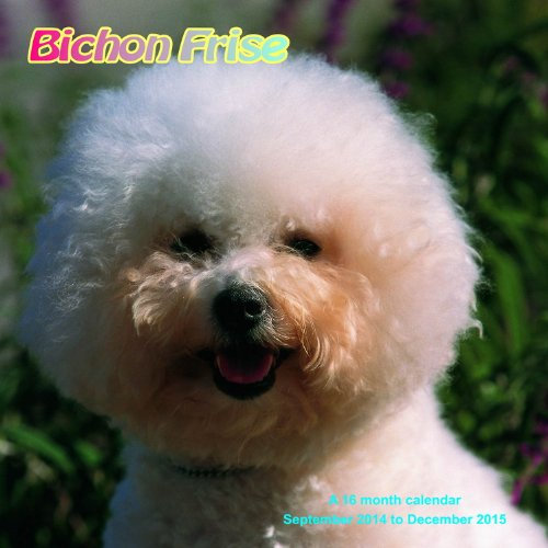 Bichon Frise Calendar - 2015 Wall calendars - Dog Calendars - Monthly Wall Calendar by Magnum