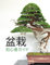 Bonsai: Beginners guide (Japanese)