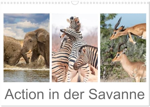 Action in der Savanne (Wandkalender 2026 DIN A3 quer), CALVENDO Monatskalender: Afrikas Tiere in voller Aktion (CALVENDO Tiere)