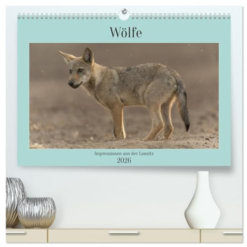 Wölfe, Impressionen aus der Lausitz (hochwertiger Premium Wandkalender 2026 DIN A2 quer), Kunstdruck in Hochglanz: Ein kleines Portfolio meiner ... der wunderschönen Lausitz. (CALVENDO Tiere)