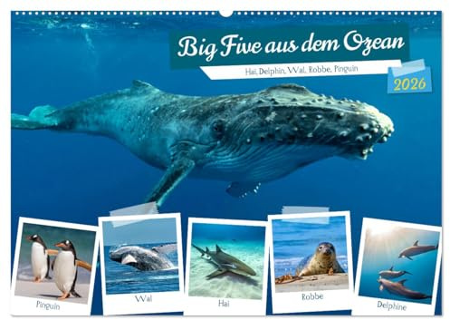 Big Five aus dem Ozean Hai, Delphin, Wal, Robbe, Pinguin (Wandkalender 2026 DIN A2 quer), CALVENDO Monatskalender: Entdecken Sie die majestätische Schönheit der Ozeane (CALVENDO Tiere)