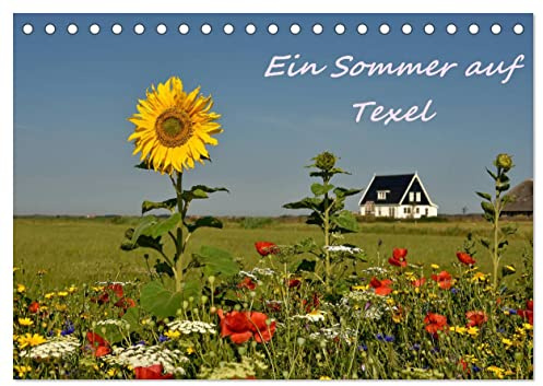 Ein Sommer auf Texel (Tischkalender 2026 DIN A5 quer), CALVENDO Monatskalender: Ein fotografischer Sommerspaziergang auf Texel (CALVENDO Orte)