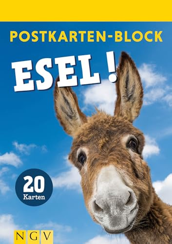 Postkartenblock Esel: 20 Premium-Fotopostkarten mit lustigen Esel-Motiven