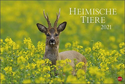Heimische Tiere Kalender 2021