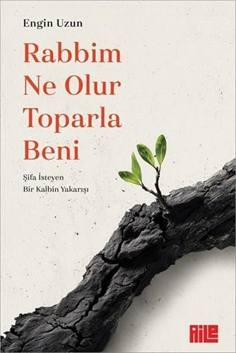 Rabbim Ne Olur Toparla Beni: Sifa Isteyen Bir Kalbin Yakarisi