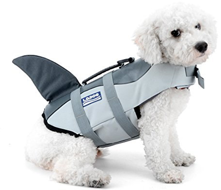 Ranphy Piccolo cane gatto Summer Pet giubbotto salvagente Shark Style Life Jacket con manico Costume da nuoto per cani Pool Beach M