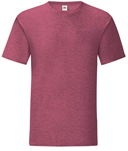 Fruit of the Loom Men's T-Shirt