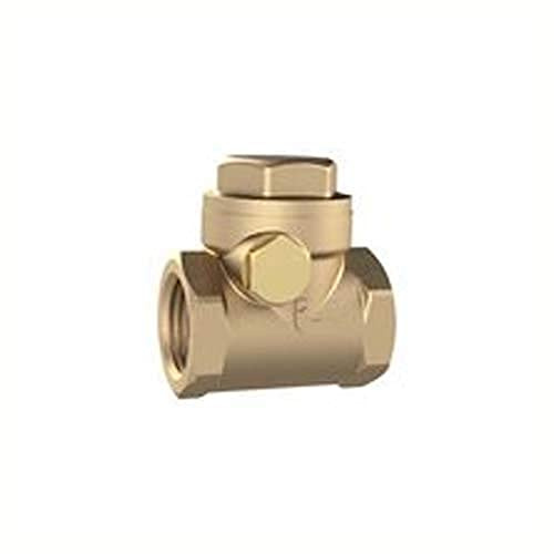 RIEGLER 158067-RK114MSE Rückschlagklappe, DN 32, Messing, G 1 1/4, PN max. 10 bar, 1Stk