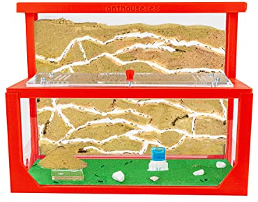 AntHouse - Natürliche Ameisenfarm aus Sand 3D | Modell L (Sandwich + Futterbox) Rot | Ant Farm | Inklusive Ameisenkolonie