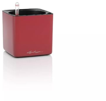 Lechuza Cube 14 matt Scarlet Rot 13502