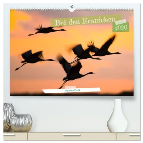 Bei den Kranichen (hochwertiger Premium Wandkalender 2026 DIN A2 quer), Kunstdruck in Hochglanz: Kraniche in unterschiedlichen Lichtverhältnissen und Szenen fotografiert (CALVENDO Tiere)