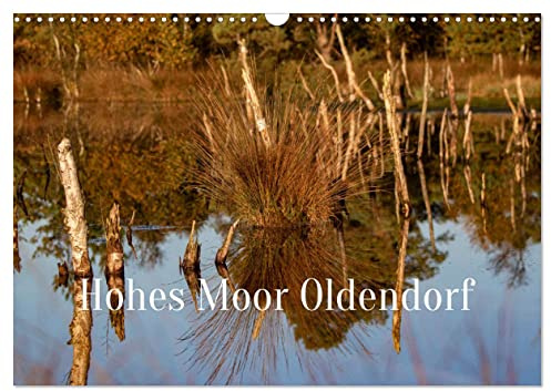 Hohes Moor Oldendorf (Wandkalender 2026 DIN A3 quer), CALVENDO Monatskalender: Landschaft in seiner schönsten Form. (CALVENDO Natur)