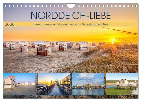 NORDDEICH-LIEBE (Wandkalender 2026 DIN A4 quer), CALVENDO Monatskalender: Bezaubernde Momente vom Urlaubsparadies (CALVENDO Natur)