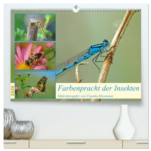 Farbenpracht der Insekten (hochwertiger Premium Wandkalender 2026 DIN A2 quer), Kunstdruck in Hochglanz: Makroaufnahemen verschiedener Insekten verzaubern mit ihrer Farbenpracht (CALVENDO Tiere)