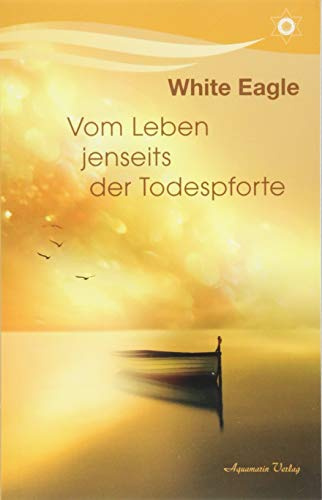 Vom Leben jenseits der Todespforte: Ein Buch, das Trost spendet und wahres Wissen vermittelt