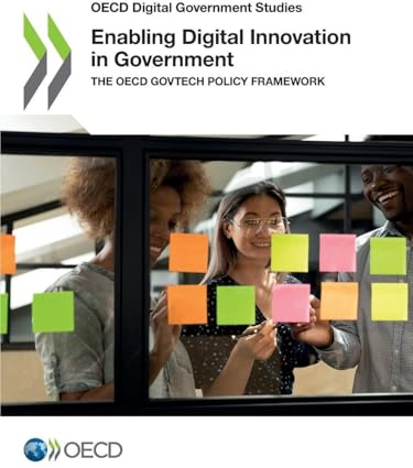Enabling Digital Innovation in Government