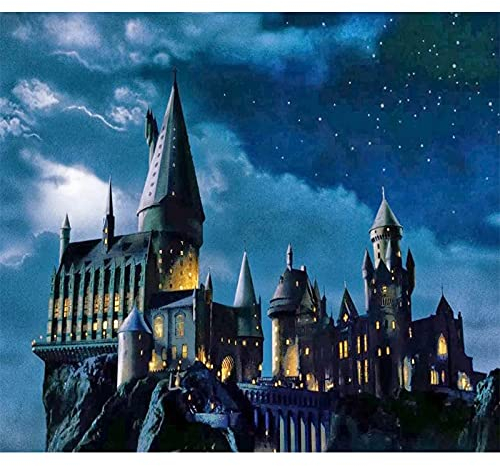 CAYUDEN Peinture par Numéros pour Adultes, 40×50 cm Acryliques Peintures Numéros Adultes Débutants Enfants Paysage Peinture avec 3 Pinceaux Paint by Numbers Kit Peinture Numero pour Enfants Adultes