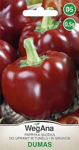 WegAna Paprika Dumas Samen 0,5g Süß Saftig Robuste Gemüsesamen Gemüse Samen Anzucht Saatgut für Gewächshaus Paprikasamen