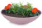 matches21 HOME & HOBBY Große Pflanzschale für draussen in 45 cm - alt-rosa marmoriert als wetterfeste Blumenschale - Dekoschale
