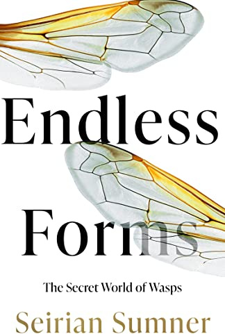Endless Forms: The Secret World of Wasps