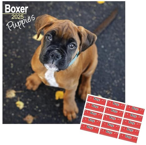 Boxer Puppies Kalender 2024 mit Organisationsaufklebern