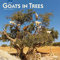 Goats in Trees 2020 Calendar