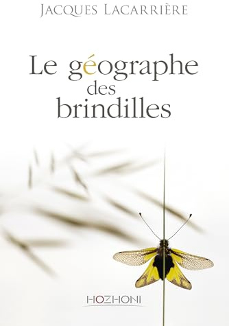 Le géographe des brindilles