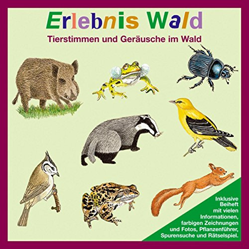 Erlebnis Wald: Tierstimmen und Geräusche im Wald