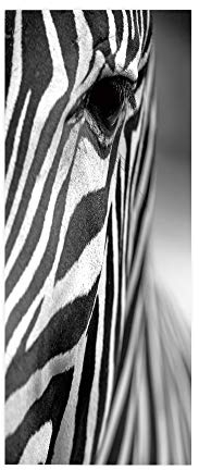 HYZSM Türtapete Selbstklebend 3D PVC wasserdichte Abnehmbare,Türaufkleber für Tür Deko Wohnzimmer/Schlafzimmer/Küche/Bad, Türposter-Zebra 77x200CM