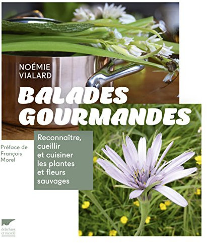 Balades gourmandes: Reconnaître, cueillir et cuisiner les plantes et fleurs sauvages