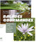 Balades gourmandes: Reconnaître, cueillir et cuisiner les plantes et fleurs sauvages