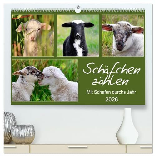 Schäfchen zählen - Mit Schafen durchs Jahr (hochwertiger Premium Wandkalender 2026 DIN A2 quer), Kunstdruck in Hochglanz: Schafe und Lämmer auf Wiesen und Weiden (CALVENDO Tiere)