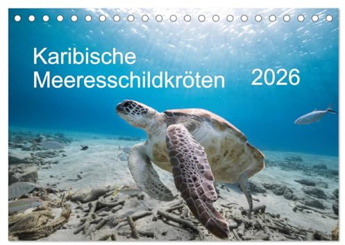 Karibische Meeresschildkröten (Tischkalender 2026 DIN A5 quer), CALVENDO Monatskalender: Magische Begegnungen unter Wasser! (CALVENDO Tiere)