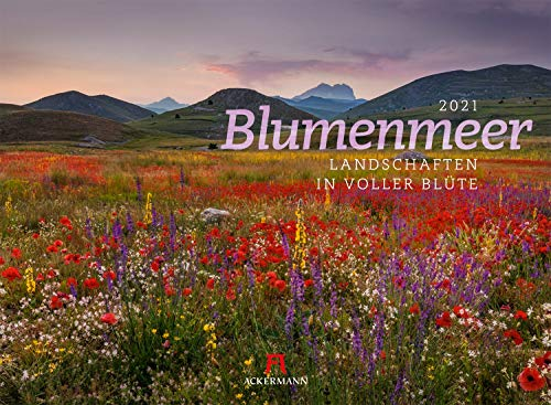 Blumenmeer - Landschaften in voller Blüte, Kalender 2021