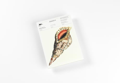 Seashells: Writing Paper & Note Pad A5