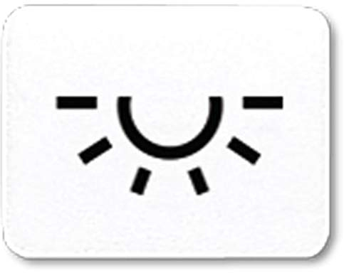 JUNG 33LWW Wipp-Kontrollschalter, Drucktaste, EIN-AUS, Weiß