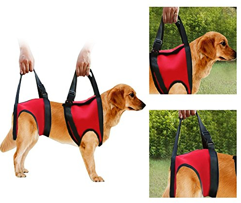 Hunde Tragehilfe vorne Hund Unterstützung Harness Pet Gehhilfe Heben Ziehen Weste Sling Unterstützung Rehabilitation für Alte & Verletzte Hunde (Front Leg - M-Red)