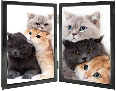 Bilderrahmen, 12,7 x 17,8 cm, doppelt aufklappbar, Metall, dünner Rand, mit hochauflösendem Glasfront, zusammenklappbar, vertikal, schwarz