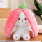 Strawberry Bunny verwandelt Sich in EIN kleines Kaninchen Obst Puppe Plüsch Spielzeug Karotte Kaninchen Plüsch Puppe Mädchen Kinder Geburtstag Geschenk (Strawberry Rabbit, 18cm)