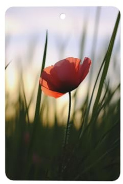 Red Poppy in Bloom Car Air Fresheners 6 Pcs Hanging Air Freshener Fragrance Scented Cards Rearview Mirror Pendant Funny Aromatherapy Tablets for Wardrobe Bathroom Car Interior Decor